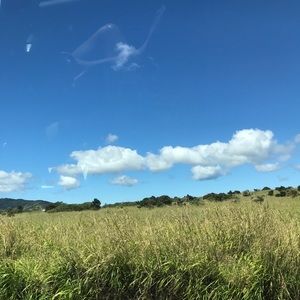 Meet your Posher, Caity